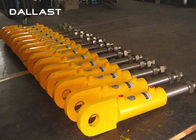Piston Double Acting Hydraulic Cylinder Stroke 800 mm Reciprocating